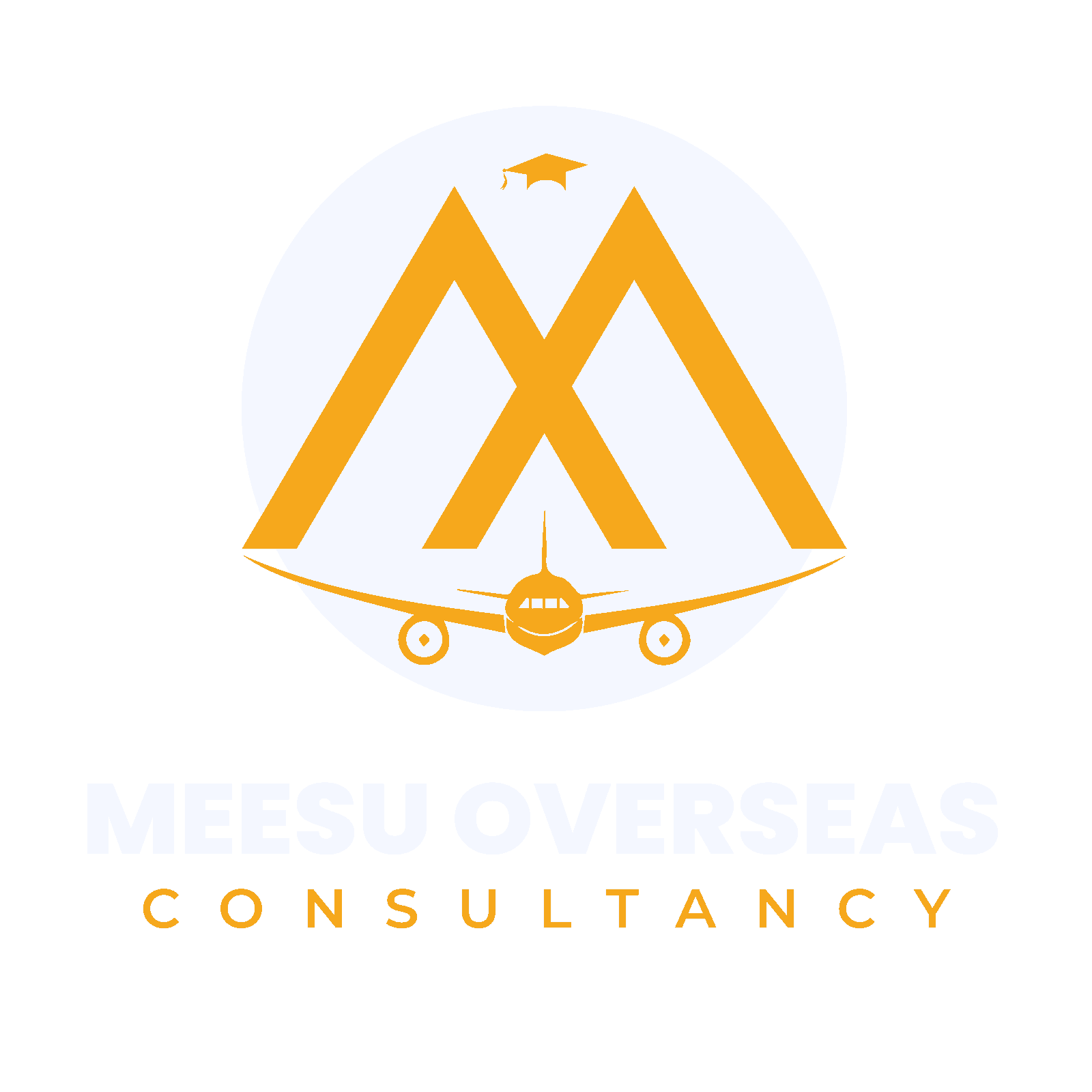Meesu Overseas